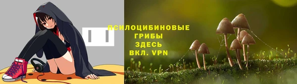каннабис Покачи
