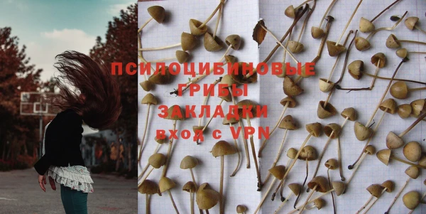 дурь Переславль-Залесский