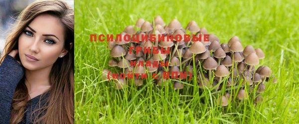 Альфа ПВП Пересвет