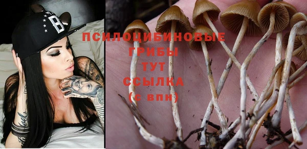 каннабис Покачи