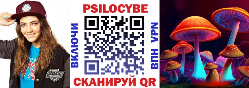 площадка состав  Терек  Галлюциногенные грибы мухоморы 